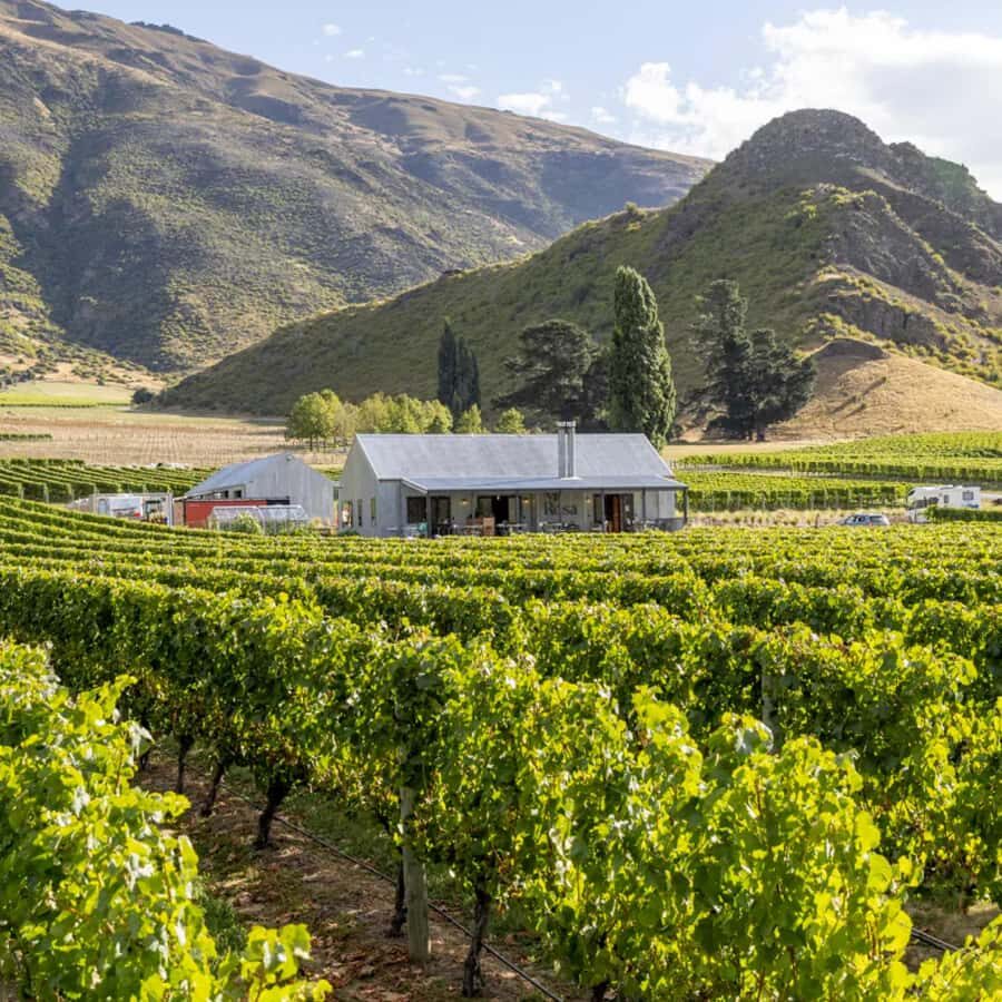 Queenstown, Arrowtown, Gibbston: Flexible Wine Hopper Tours - The flexible plan: what to tell your guide so you get the best day