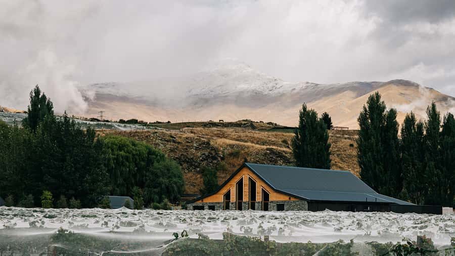 Queenstown: Classic Central Otago Wine Tasting Experience - What you learn: pioneers, subregions, and terroir in plain English