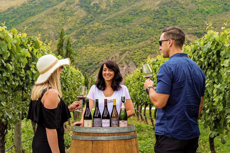 Queenstown: Classic Wine Tour - Key points to know