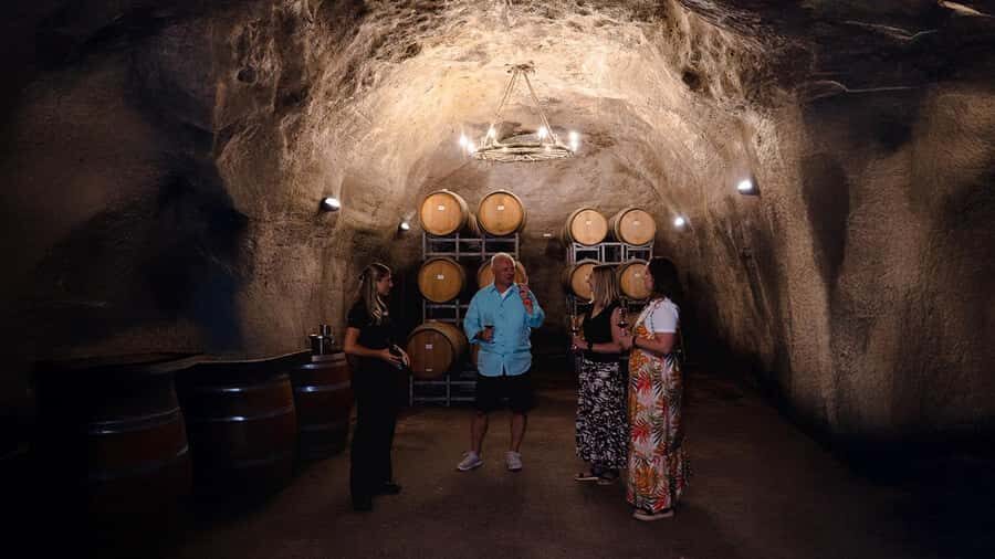 Queenstown: Classic Wine Tour - Gibbston wine country fits into one great afternoon