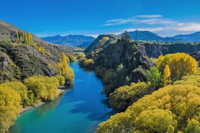 Queenstown Classic Wine Tour: 3 Winery Visits, Cave Tour & Cheese - Pacing: why it can feel rushed (and how to handle it)
