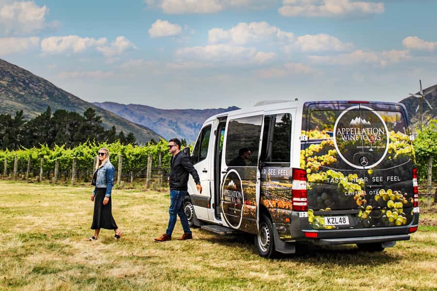 Queenstown: Classic Wine Tour - The guide experience: lively commentary and practical tips