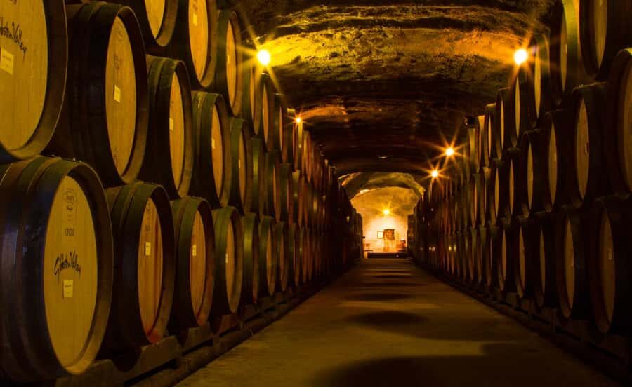 Queenstown: Classic Wine Tour - Price and value: what you get for $142