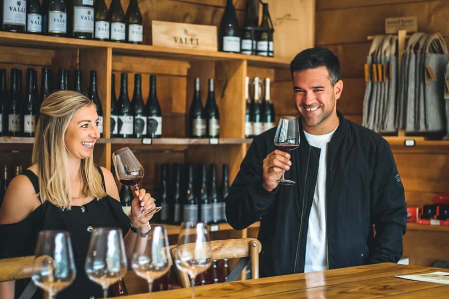 Queenstown: Classic Wine Tour - Who should book this Queenstown classic wine tour