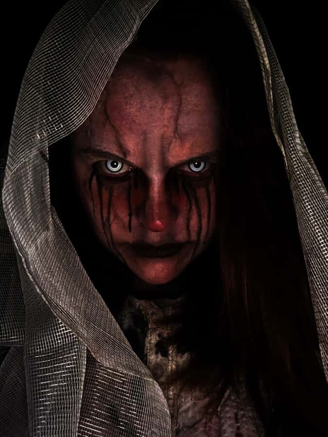 Queenstown: Fear Factory Haunted House Admission Ticket - The Chicken Counter: opting out without the drama