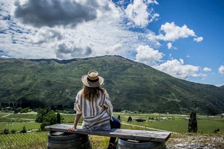 Queenstown & Gibbston Valley: Hop-On Hop-Off Wine Tours - Choosing your stops: mix wineries, breweries, and meals without getting stuck in the weeds