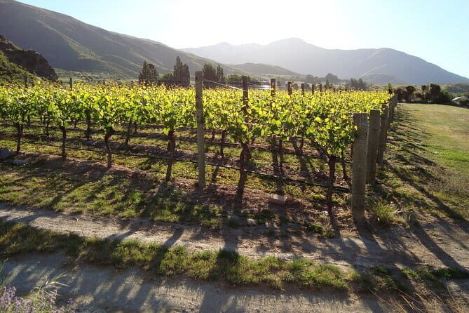 Queenstown Gin and Whiskey tours - Options beyond this outing: progressive dinner and private charters