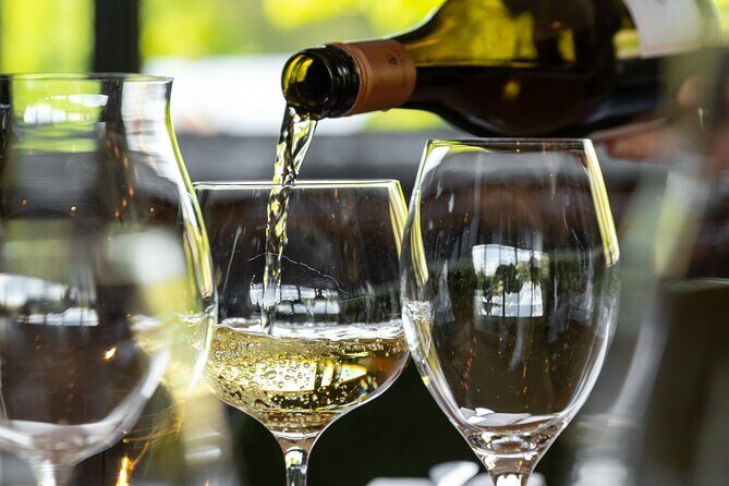 Queenstown Gin, Wine & Beer Tour | Adults Only - Canyon Brewing by the Shotover River: beer flight with views