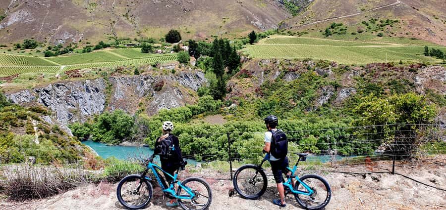 Queenstown: Guided E-Bike Tour with Winery Visits & Tastings - Key highlights worth planning around