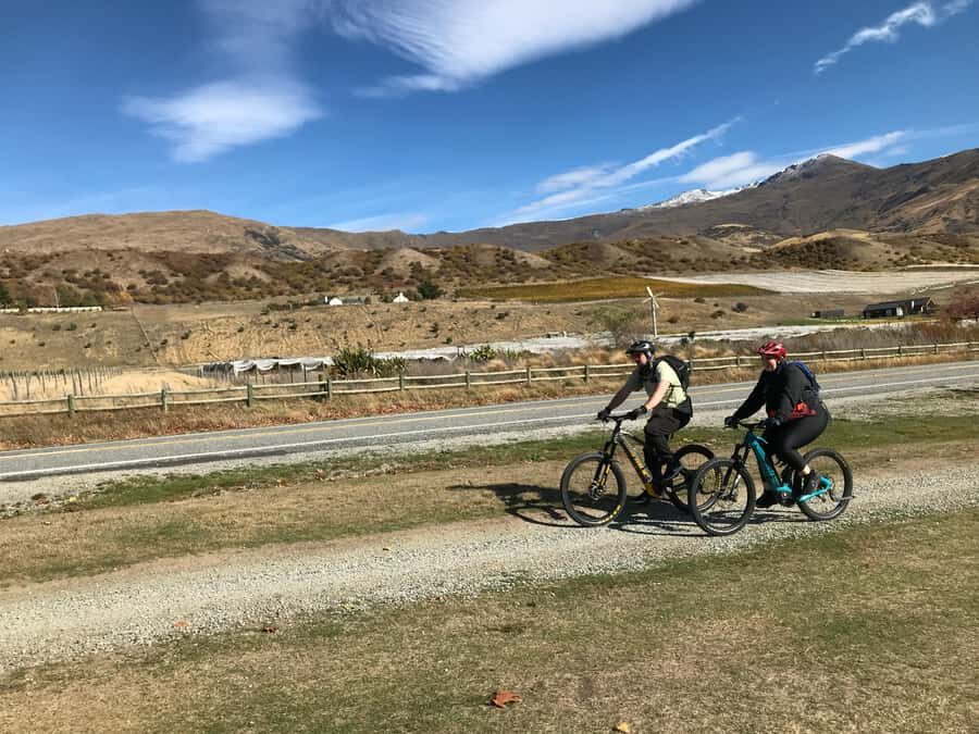 Queenstown: Guided E-Bike Tour with Winery Visits & Tastings - Price and value: is $194 fair for what you get?