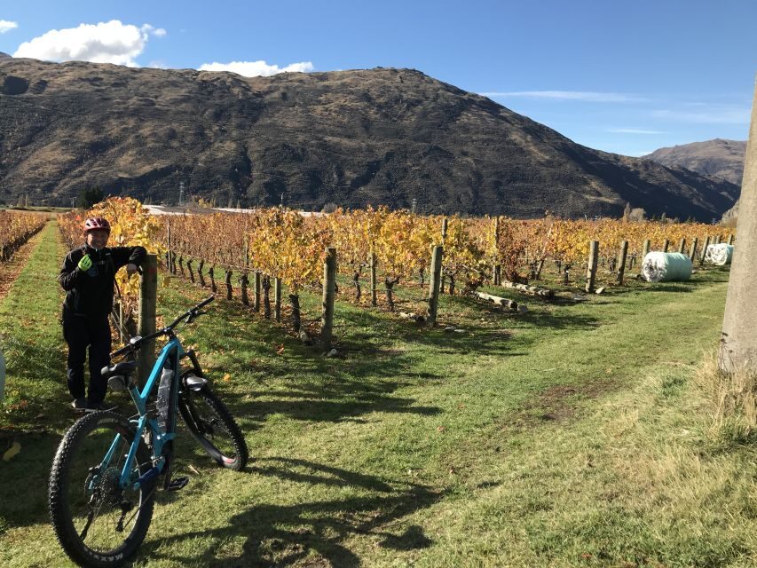 Queenstown: Guided E-Bike Tour with Winery Visits & Tastings - Brennan Wines and Otago Viticulture & Oenology: tasting with context