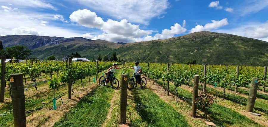 Queenstown: Guided E-Bike Tour with Winery Visits & Tastings - The e-bike itself: how the pedal assist changes your whole day