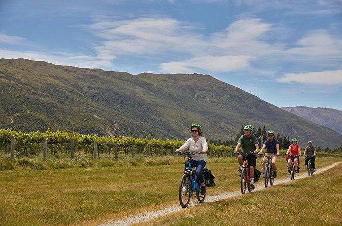 Queenstown Guided E-bike Wine Tour - Queenstown Trail on e-bikes: easy pedaling, real scenery payoff