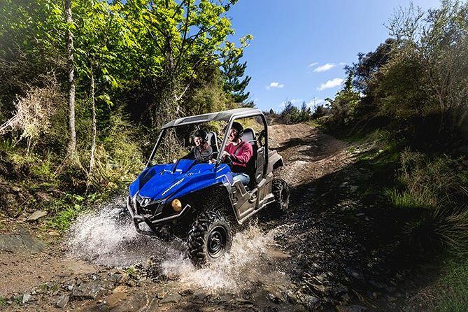 Queenstown Guided Self-Drive Buggy Tour - Training in the buggy: how the guides set you up for control