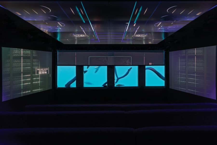 Queenstown: Hidden Underwater Theatre Experience - Key highlights worth planning around