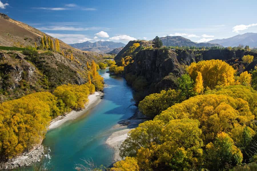 Queenstown: Highlights Tour with Wine Tasting - Key Reasons This Tour Gets a High Score