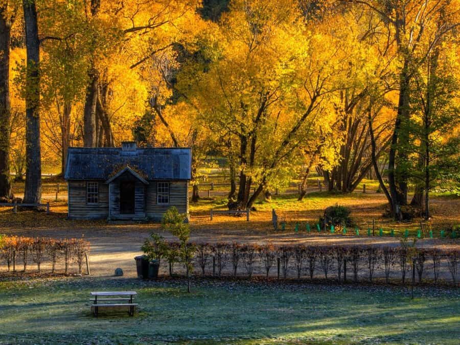 Queenstown: Highlights Tour with Wine Tasting - Why This 3-Hour Queenstown Loop Feels Like the Right First Move