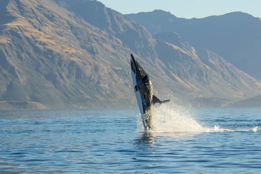 Queenstown: Hydro Attack Shark Ride - The Heart of the Ride: 80 kph Skim, Then Up Under
