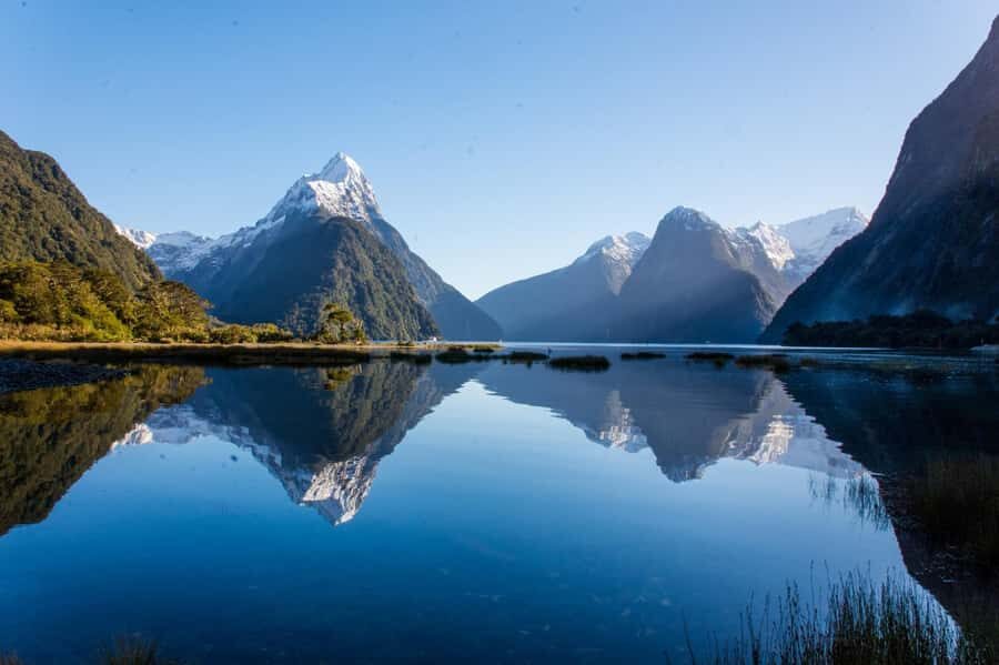 Queenstown: Milford Sound Cruise & Helicopter Alpine Tour - Milford Sound from the water: cruise time, waterfalls, and wildlife