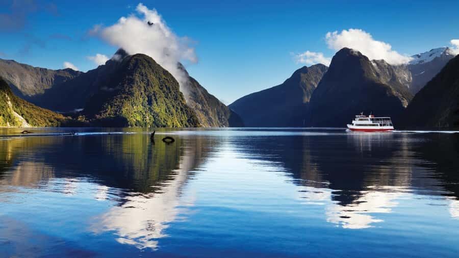 Queenstown: Milford Sound Day Trip - Cruise & Picnic Lunch - Why This Small-Group Milford Sound Day Feels Better