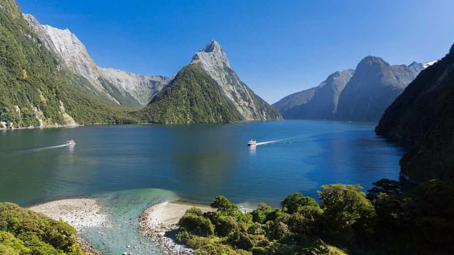 Queenstown: Milford Sound Day Trip - Cruise & Picnic Lunch - Guide Commentary, Wildlife, and Getting More From Every Stop
