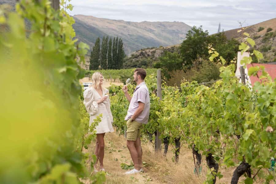 Queenstown: Original Premium Half-Day Gibbston Wine Tour - Stop 1 and Stop 2 in Gibbston: guided Pinot Noir tastings that actually teach