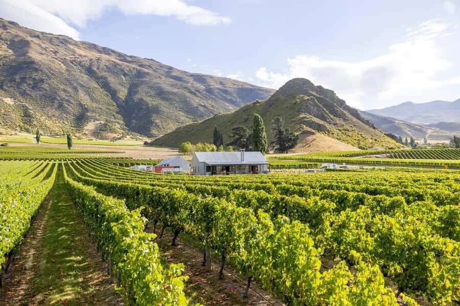 Queenstown: Original Premium Half-Day Gibbston Wine Tour - Who this Queenstown to Gibbston tour suits best