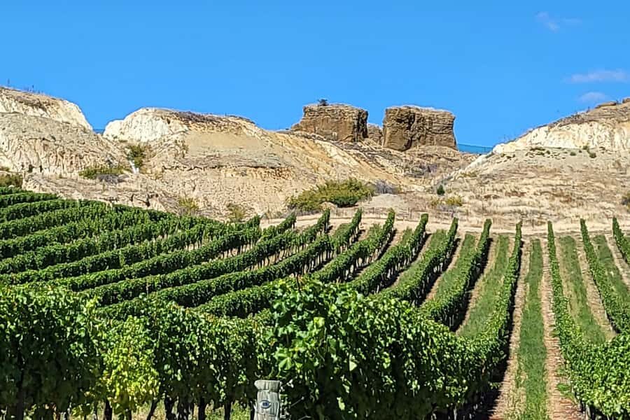 Queenstown: Premium Full-Day Central Otago Wine Tasting Tour - Carrick Winery plus lunch time: where the pacing stays human