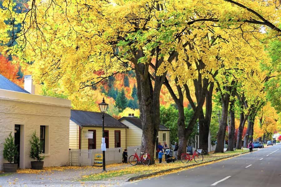 Queenstown: Premium Full-Day Central Otago Wine Tasting Tour - Price and value: is $118 worth it for a full-day Central Otago tour?