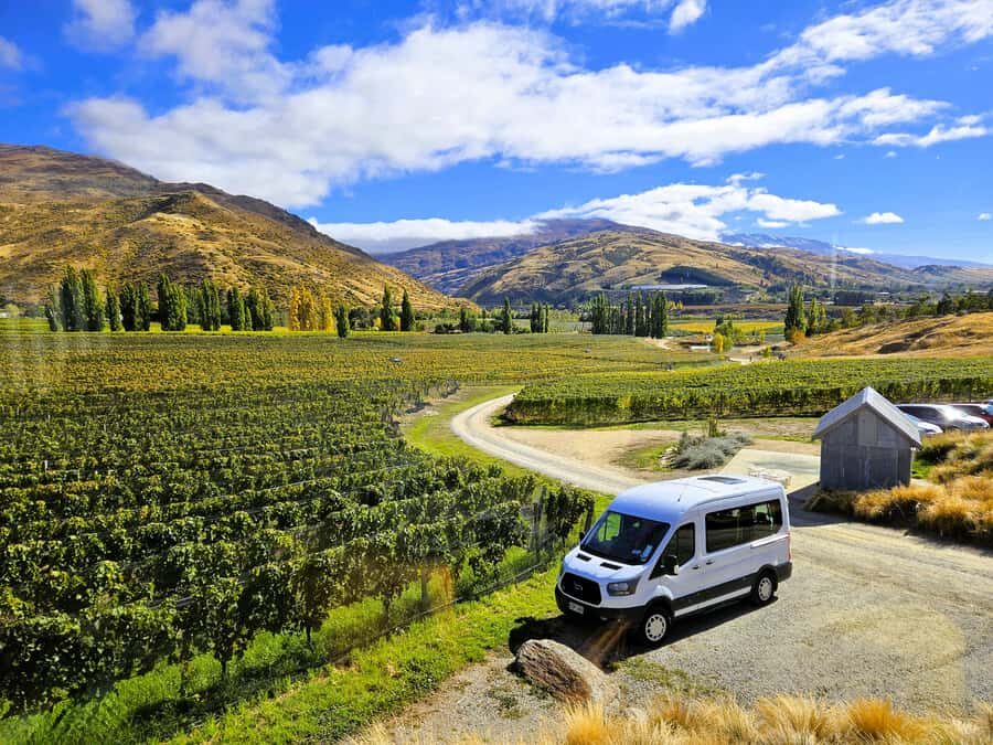 Queenstown: Premium Full-Day Central Otago Wine Tasting Tour - The 7-hour rhythm: pickup, tastings, lunch time, and back to Queenstown