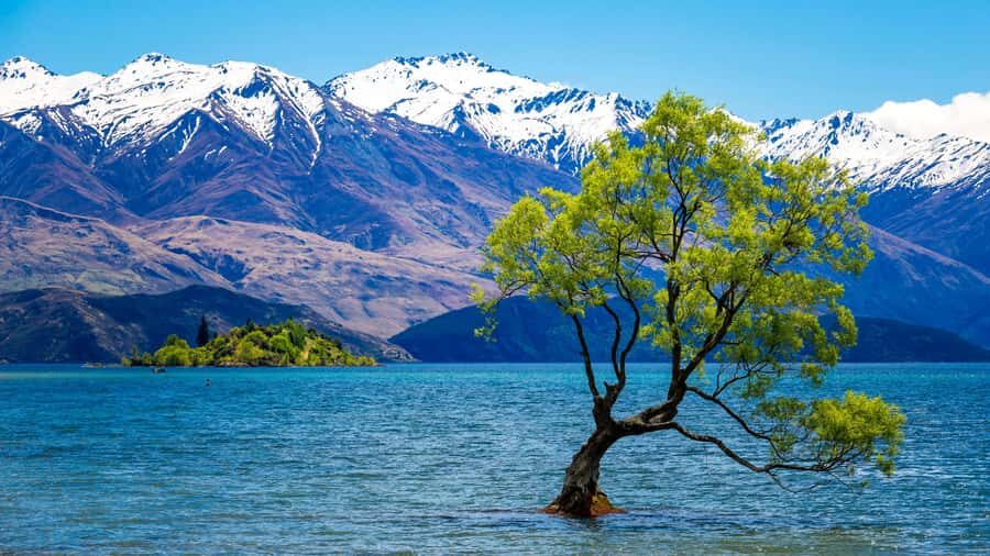 Queenstown: Private Day Trip to Wanaka, Arrowtown & More - Crown Range and Cardrona: the road trip part you’ll remember