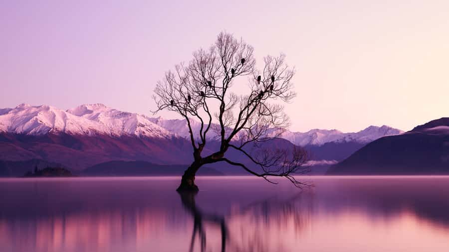 Queenstown: Private Day Trip to Wanaka, Arrowtown & More - Queenstown to Arrowtown: gold-rush vibes without the pressure