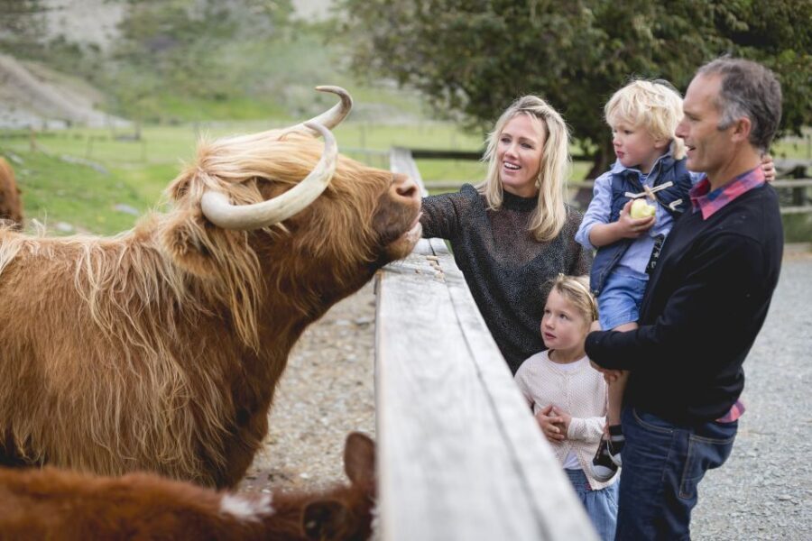 Queenstown: Queenstown Lake Cruise and Walter Peak Farm Tour - Afternoon tea: the food is a real component, not just a snack