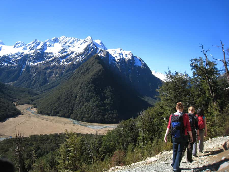 Queenstown: Routeburn Track Guided Full-Day Walk or Half Day - The Routeburn Track: the kind of classic that rewards a guide