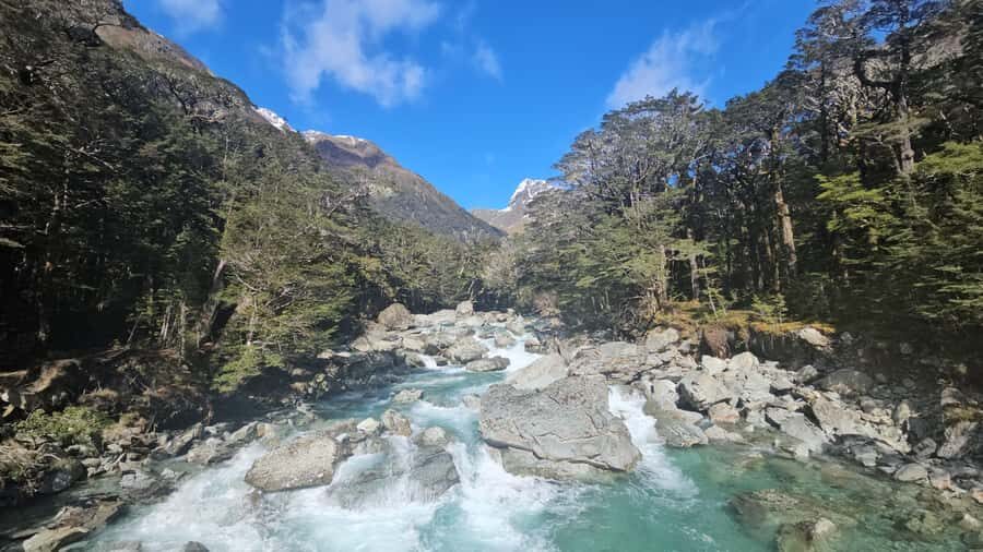 Queenstown: Routeburn Track Guided Full-Day Walk or Half Day - Getting from Queenstown: the Queenstown–Glenorchy Road setup