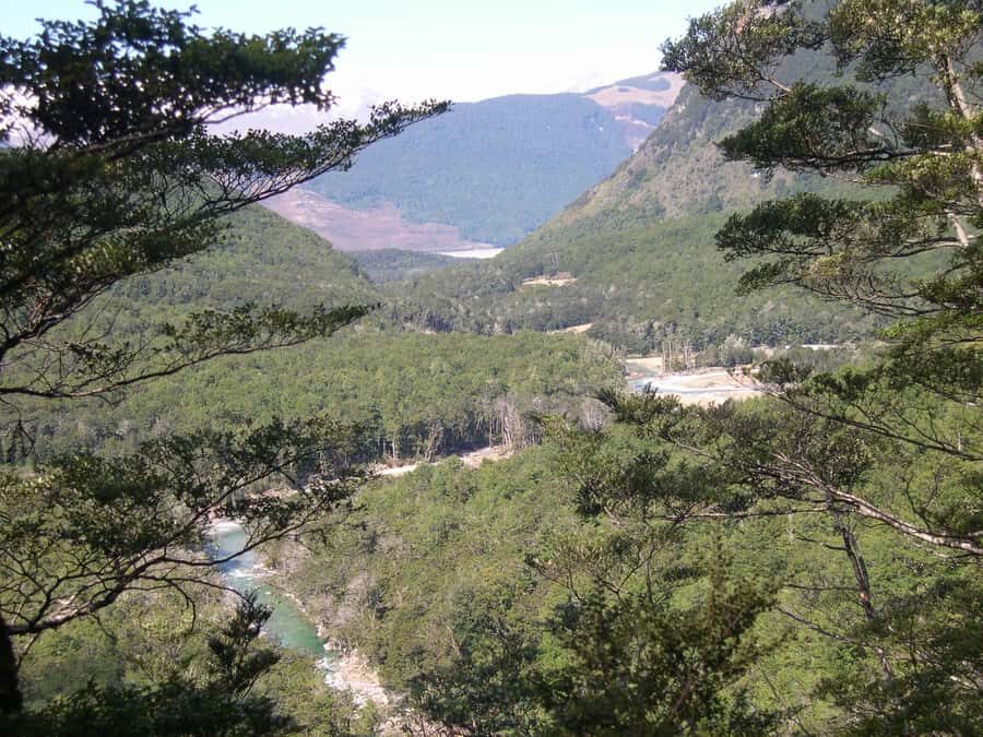 Queenstown: Routeburn Track Guided Full-Day Walk or Half Day - What to wear and bring: small list, big payoff
