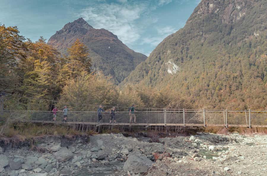 Queenstown: Routeburn Track Guided Full-Day Walk or Half Day - Full-day Routeburn: aiming for Falls Hut with a group pace