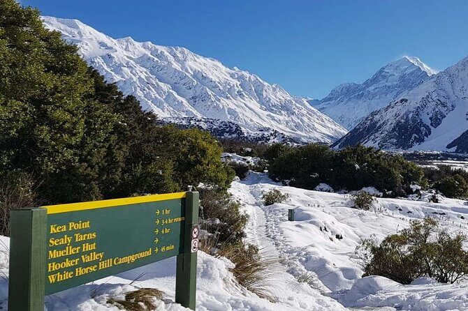 Queenstown to Christchurch One-Way Tour via Mt Cook & Lake Tekapo - Lake Tekapo and the Church of the Good Shepherd: short stop, big payoff