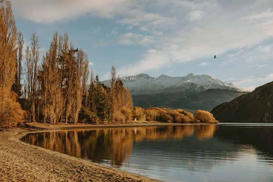 Queenstown to Christchurch via Franz Josef 2-Day Tour - Castle Hill: limestone rocks and a self-guided finish