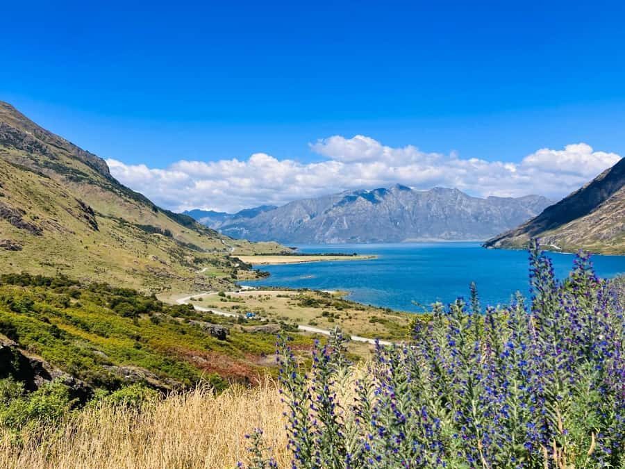 Queenstown to Christchurch via Franz Josef 2-Day Tour - Getting to Christchurch: drop-off at a central spot