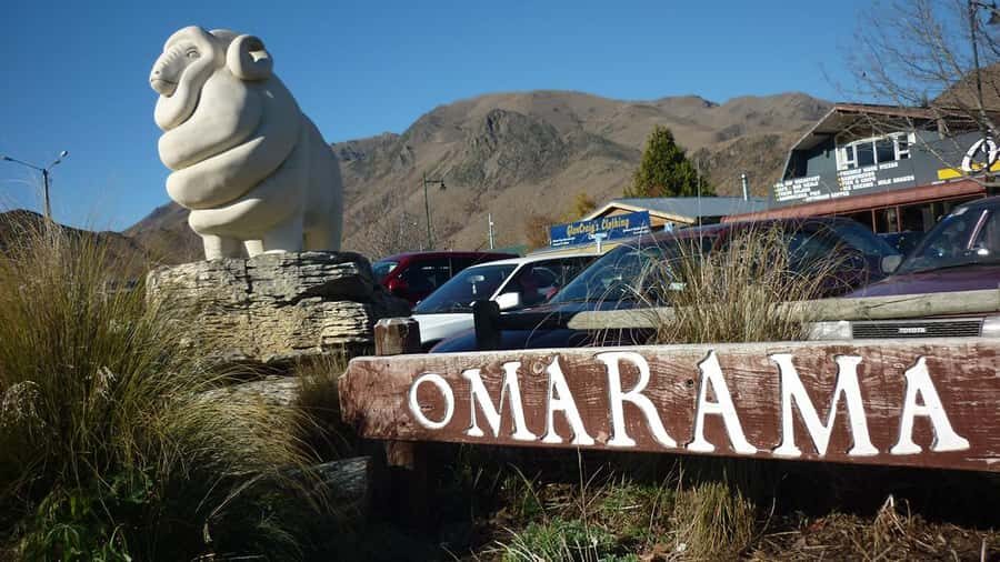 Queenstown to Christchurch via Mt Cook One-Way Tour - Pickup options and how the long day is paced