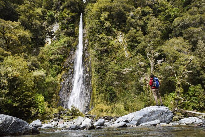 Queenstown to Franz Josef via Wanaka Small Group Day Tour (1-Way) - Price and value: does $179.97 make sense?