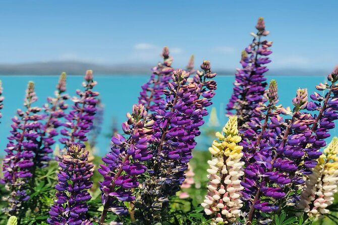 Queenstown to Lake Tekapo via Mt Cook One-Way Small Group Tour - Queenstown to Tekapo, with Aoraki/Mt Cook as the main event