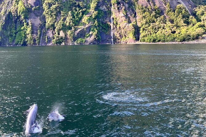 Queenstown to Te Anau via Milford Sound inc Cruise & Lunch - Price and value: is $208 worth a full Milford day?