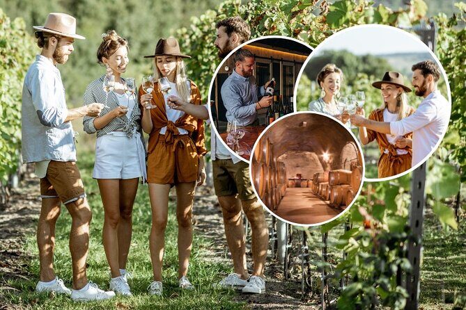 Queenstown Wine Tour - Gibbston Valley Cave | Kinross | Amisfield - Luxury transport in Queenstown, without the driver math