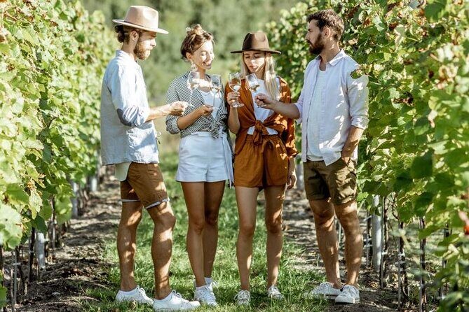Queenstown Wine Tour - Gibbston Valley Cave | Kinross | Amisfield - Gibbston Valley Winery Wine Cave: the star stop you plan around