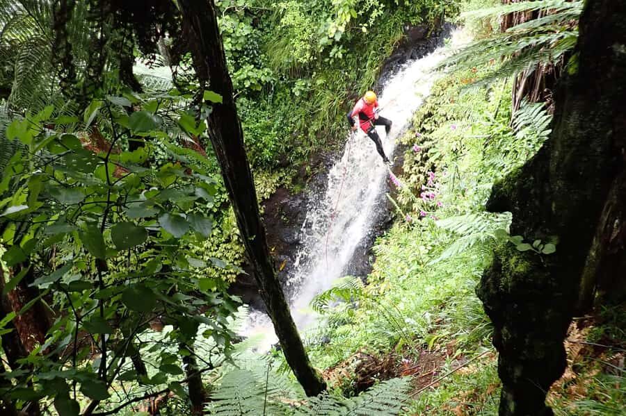 Raglan: Karioi Canyoning - Key Things You’ll Notice Right Away