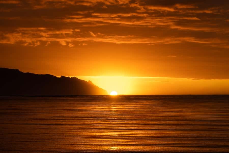 Raglan: Scenic Harbour Sunset Cruise - Volcanic remnants and why this coastline looks the way it does