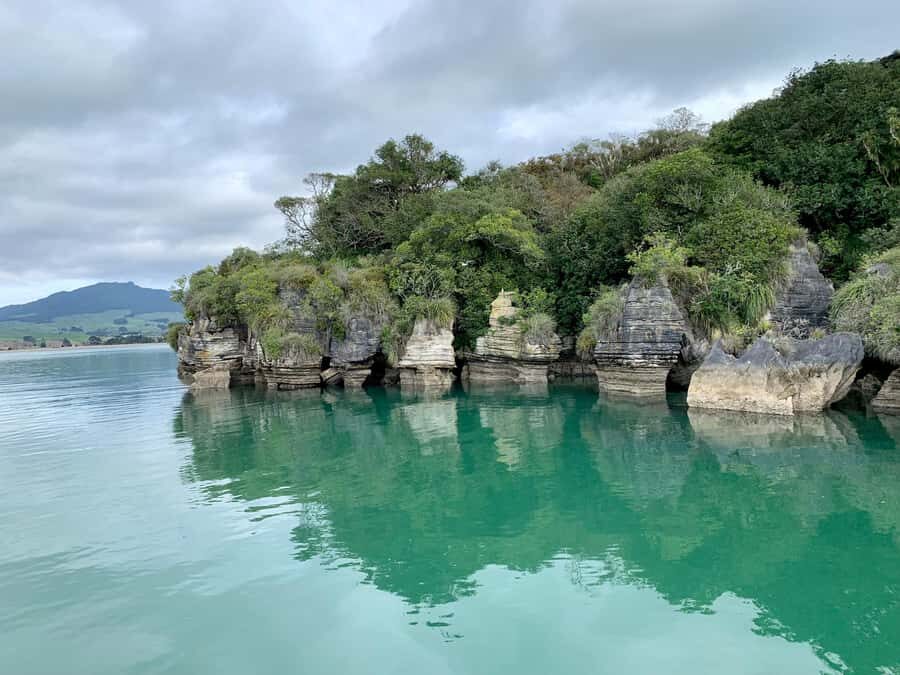 Raglan: Scenic Harbour Sunset Cruise - Onboard vibe: music, bar service, and comfort trade-offs