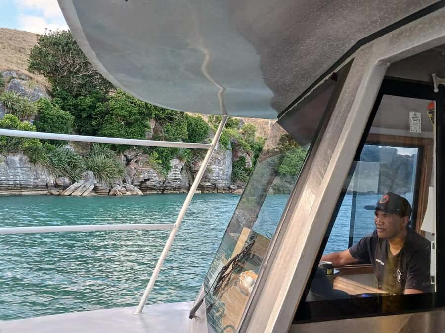 Raglan: Scenic Harbour Sunset Cruise - Price and value: is $38 actually fair?